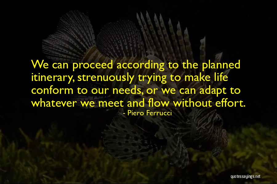 Life Not As Planned Quotes By Piero Ferrucci Life Not As Planned Quotes By Piero Ferrucci
