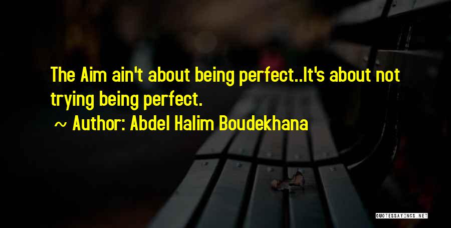 Life Not Being Perfect Quotes By Abdel Halim Boudekhana