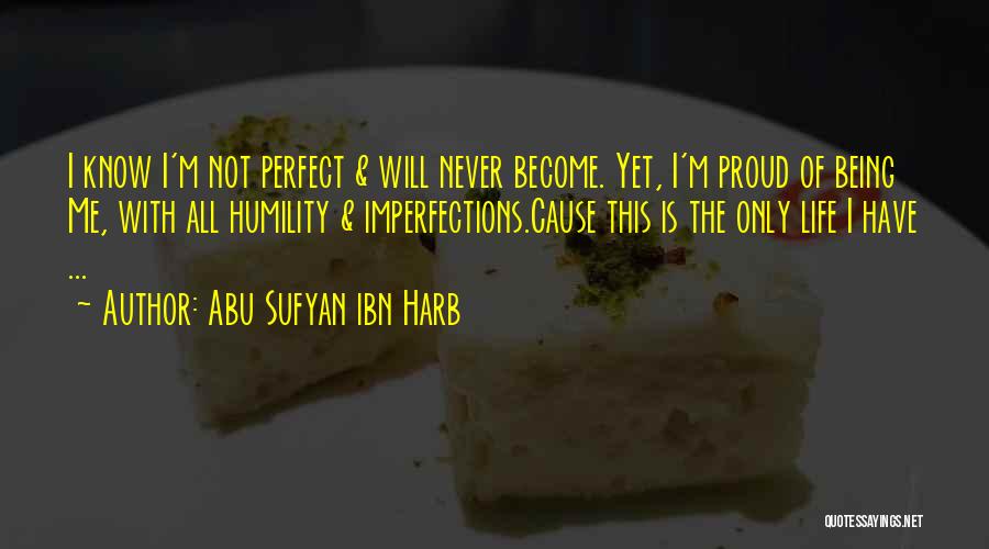 Life Not Being Perfect Quotes By Abu Sufyan Ibn Harb