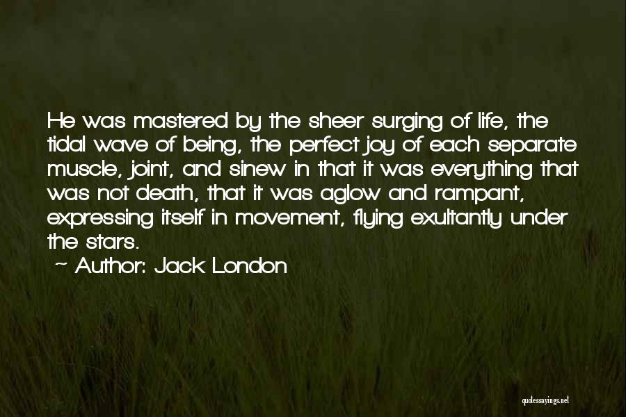 Life Not Being Perfect Quotes By Jack London