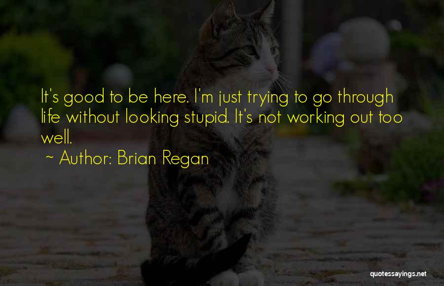 Life Not Working Out Quotes By Brian Regan