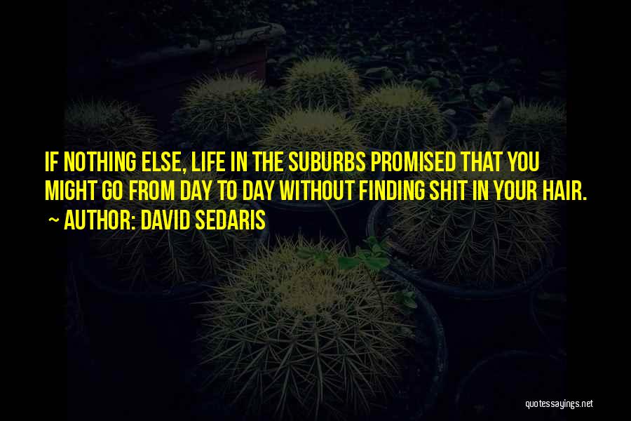 Life Nothing Without You Quotes By David Sedaris Life Nothing Without You Quotes By David Sedaris