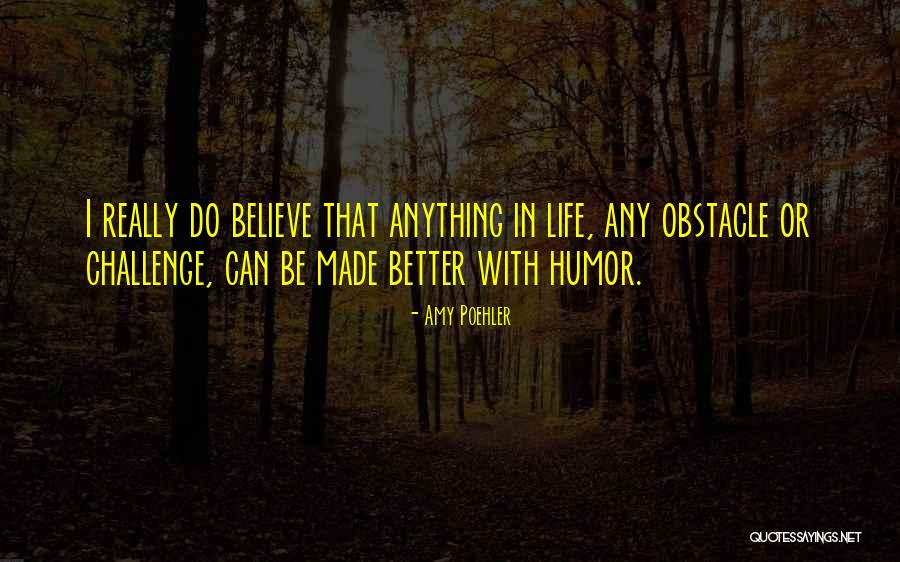 Life Obstacle Quotes By Amy Poehler Life Obstacle Quotes By Amy Poehler