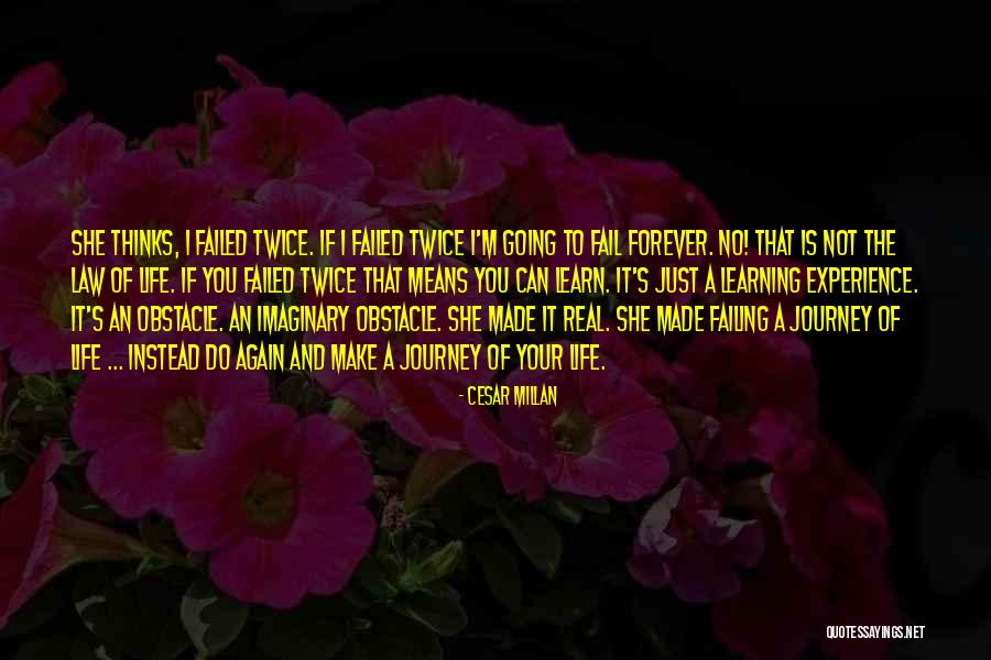 Life Obstacle Quotes By Cesar Millan Life Obstacle Quotes By Cesar Millan