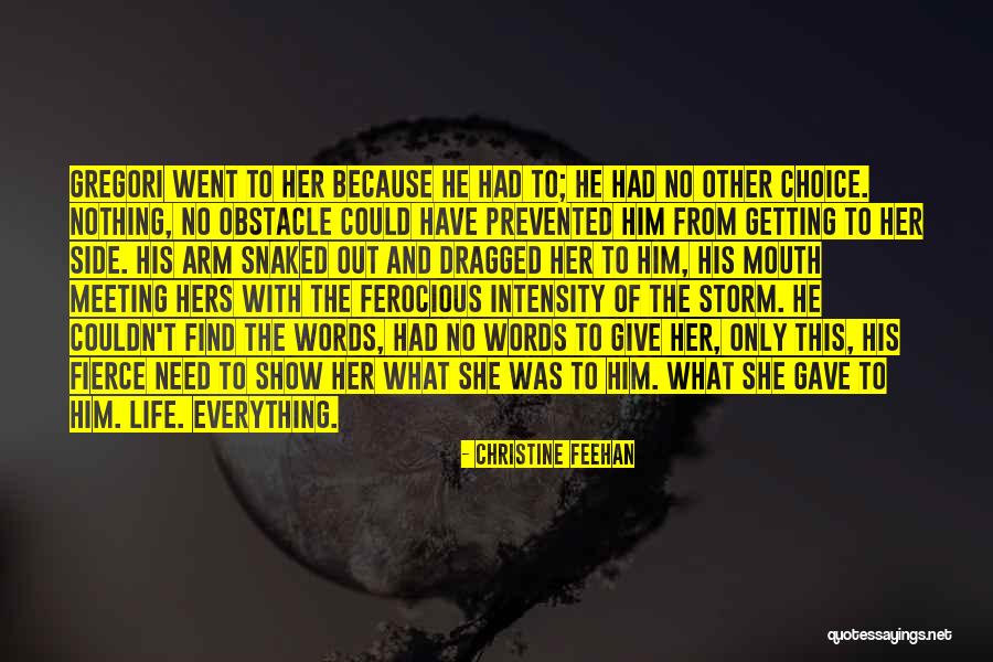 Life Obstacle Quotes By Christine Feehan Life Obstacle Quotes By Christine Feehan
