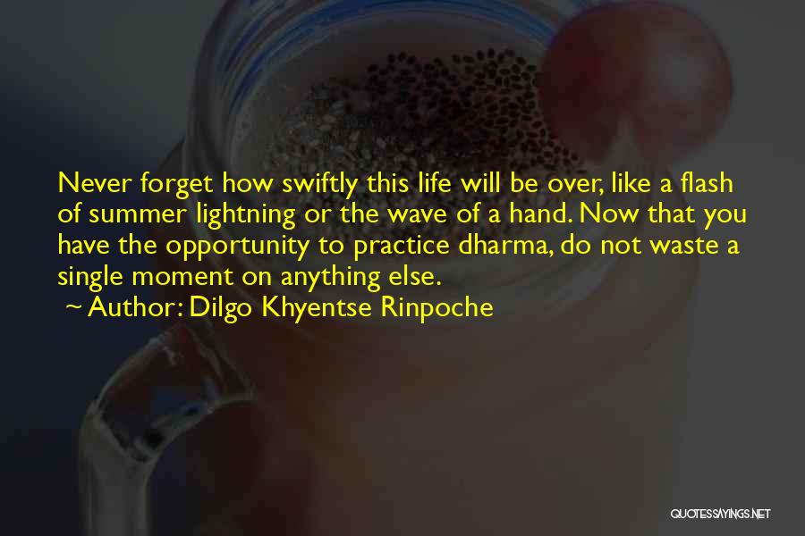 Life Of A Single Mom Quotes By Dilgo Khyentse Rinpoche