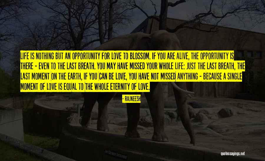 Life Of A Single Mom Quotes By Rajneesh Life Of A Single Mom Quotes By Rajneesh