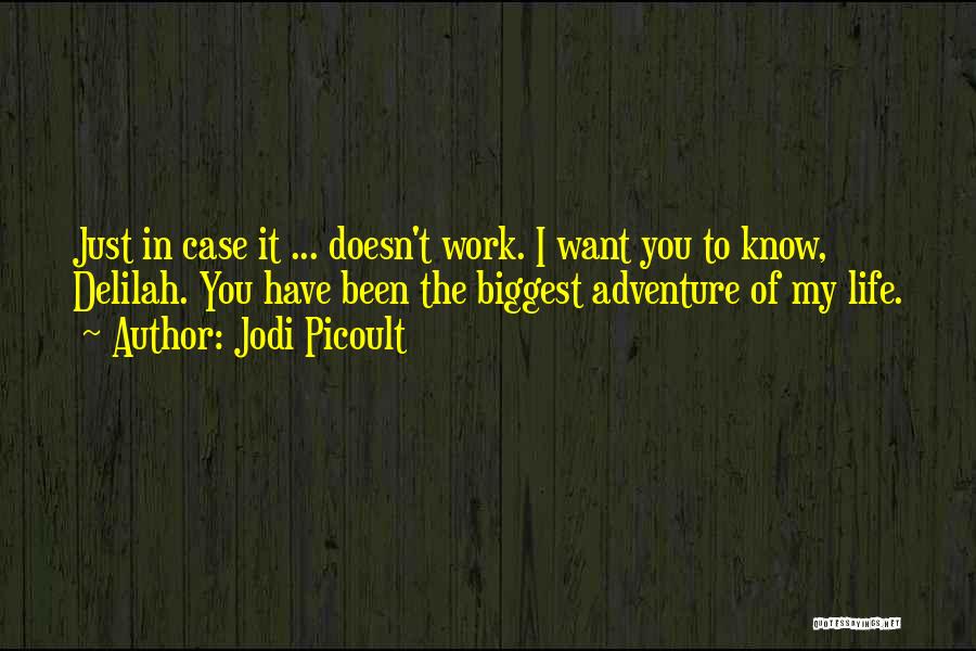 Life Of Adventure Quotes By Jodi Picoult