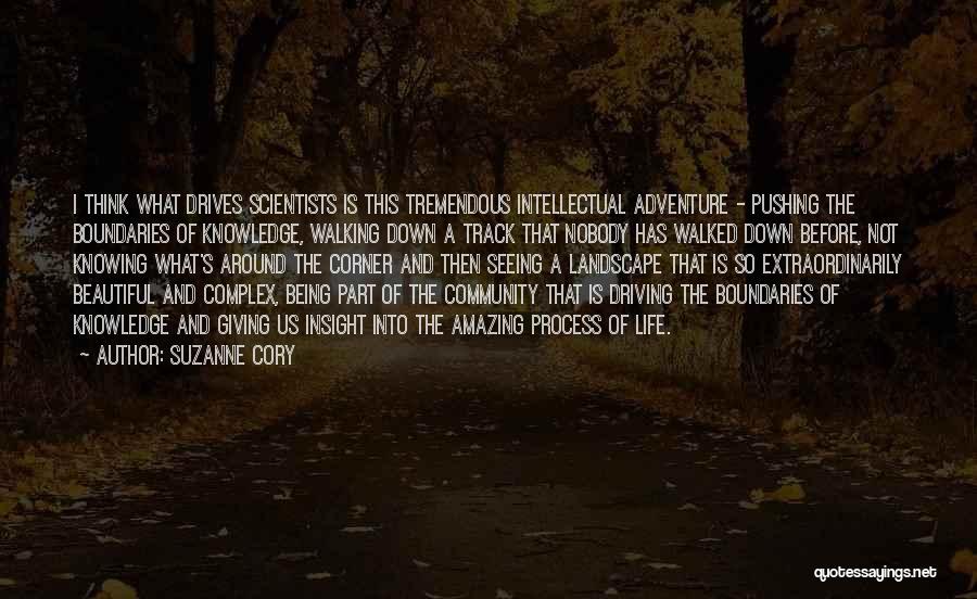 Life Of Adventure Quotes By Suzanne Cory