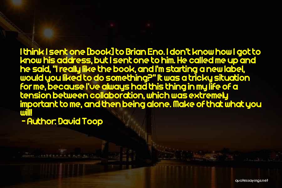 Life Of Brian Quotes By David Toop