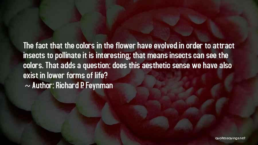 Life Of Colors Quotes By Richard P. Feynman