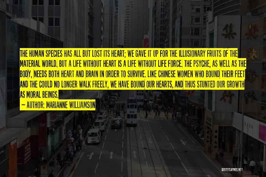 Life Of Marianne Quotes By Marianne Williamson