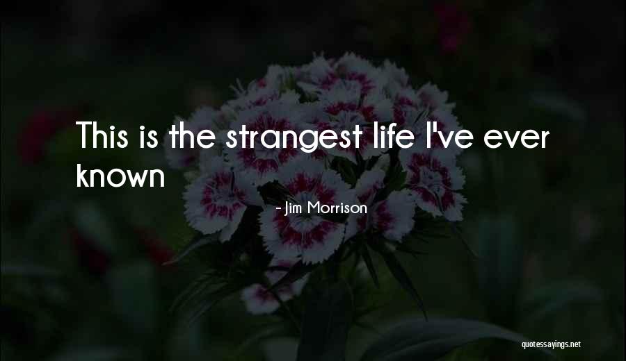 Life Of Pi Chapter 52 Quotes By Jim Morrison Life Of Pi Chapter 52 Quotes By Jim Morrison