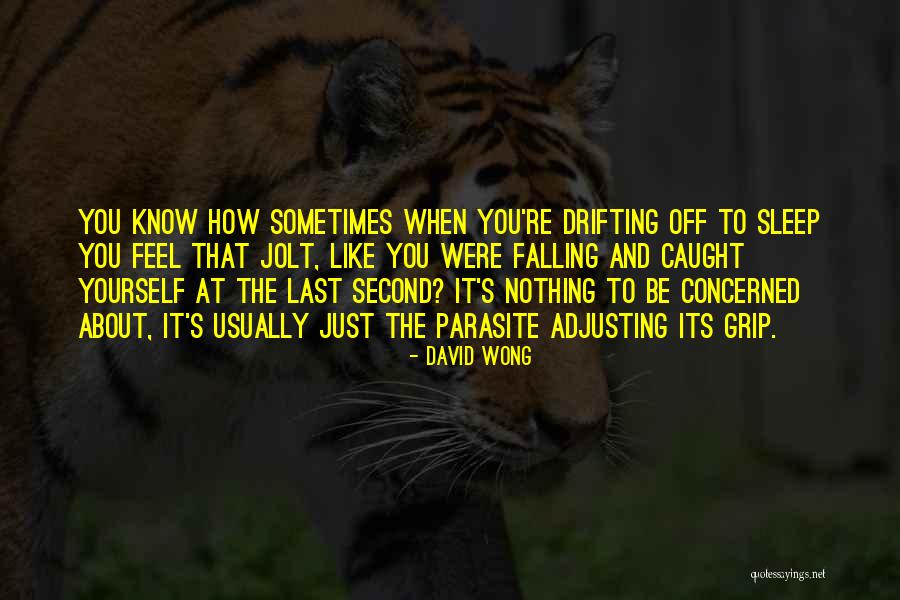 Life Of Pi Zebra Quotes By David Wong Life Of Pi Zebra Quotes By David Wong