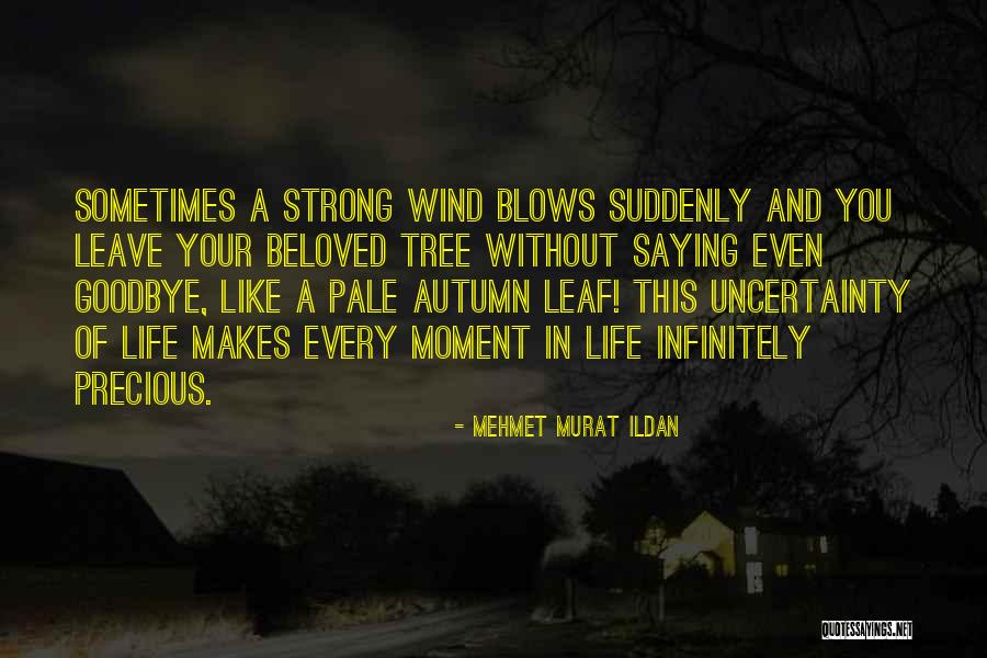 Life Of Wisdom Quotes By Mehmet Murat Ildan