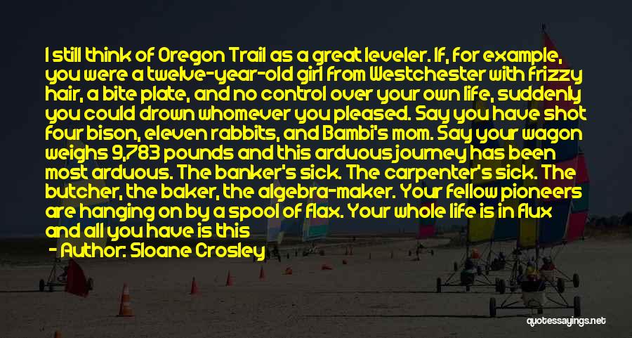 Life On The Oregon Trail Quotes By Sloane Crosley