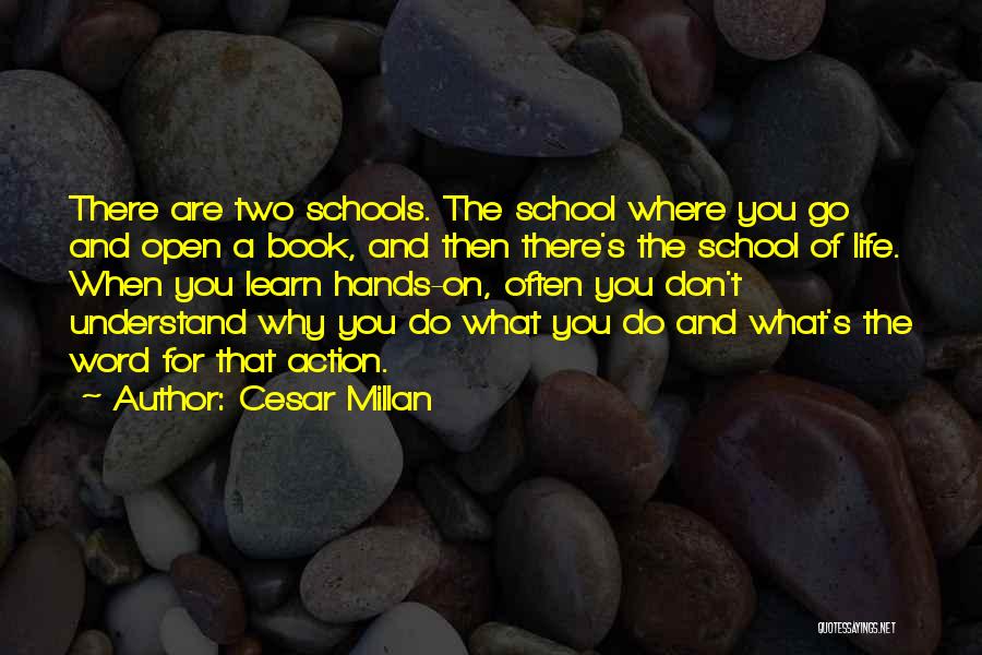 Life Open Book Quotes By Cesar Millan