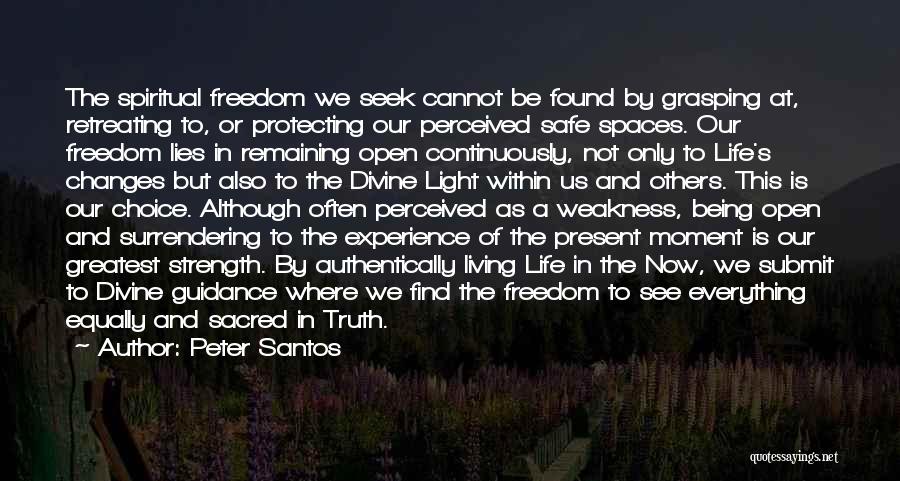 Life Openness Quotes By Peter Santos