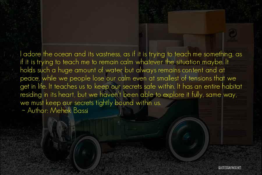 Life Or Something Like That Quotes By Mehek Bassi