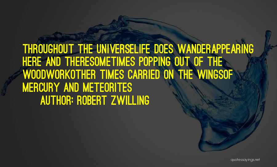 Life Out There Quotes By Robert Zwilling