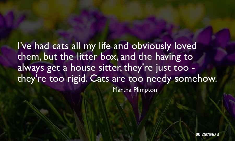 Life Outside The Box Quotes By Martha Plimpton Life Outside The Box Quotes By Martha Plimpton