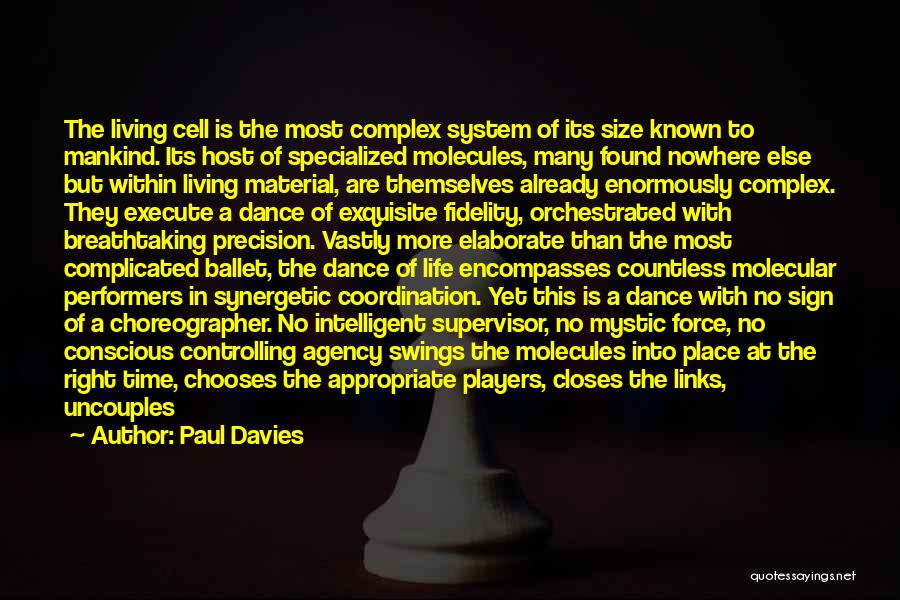 Life Partners Quotes By Paul Davies