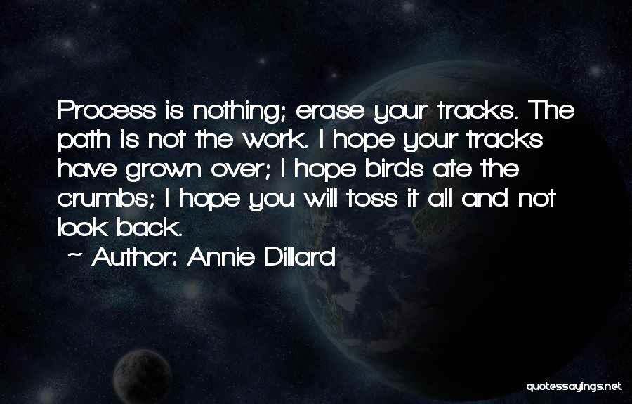 Life Path Quotes By Annie Dillard