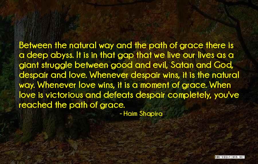 Life Path Quotes By Haim Shapira