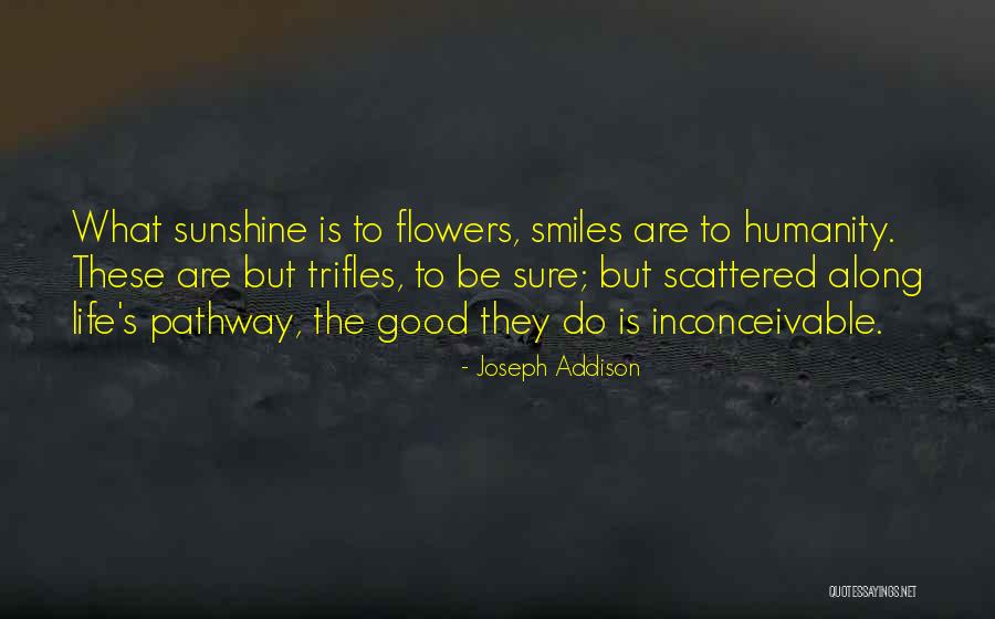 Life Pathway Quotes By Joseph Addison