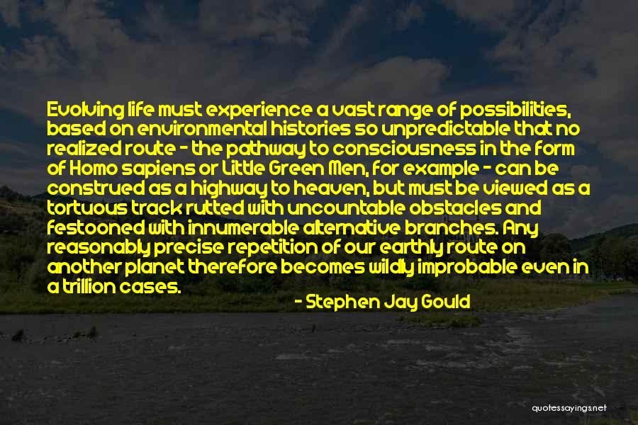 Life Pathway Quotes By Stephen Jay Gould