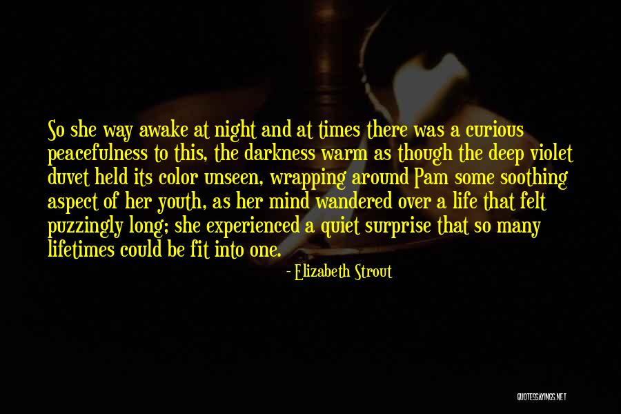 Life Peacefulness Quotes By Elizabeth Strout Life Peacefulness Quotes By Elizabeth Strout