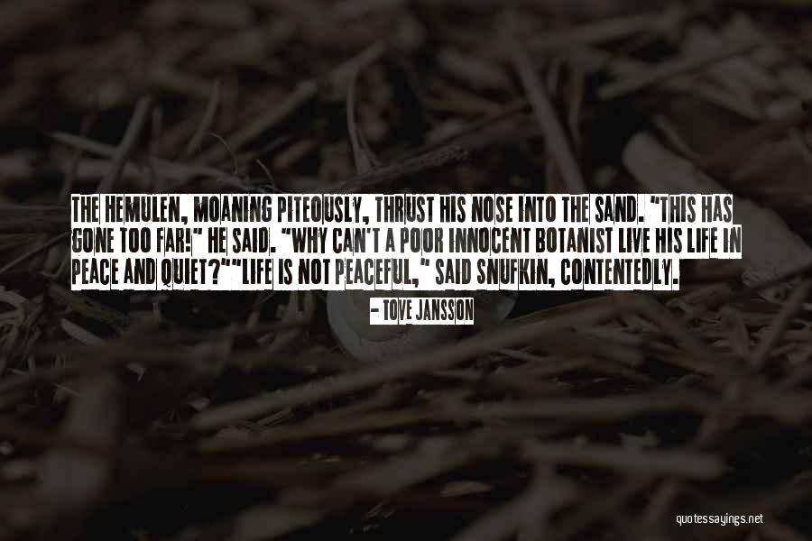 Life Peacefulness Quotes By Tove Jansson Life Peacefulness Quotes By Tove Jansson