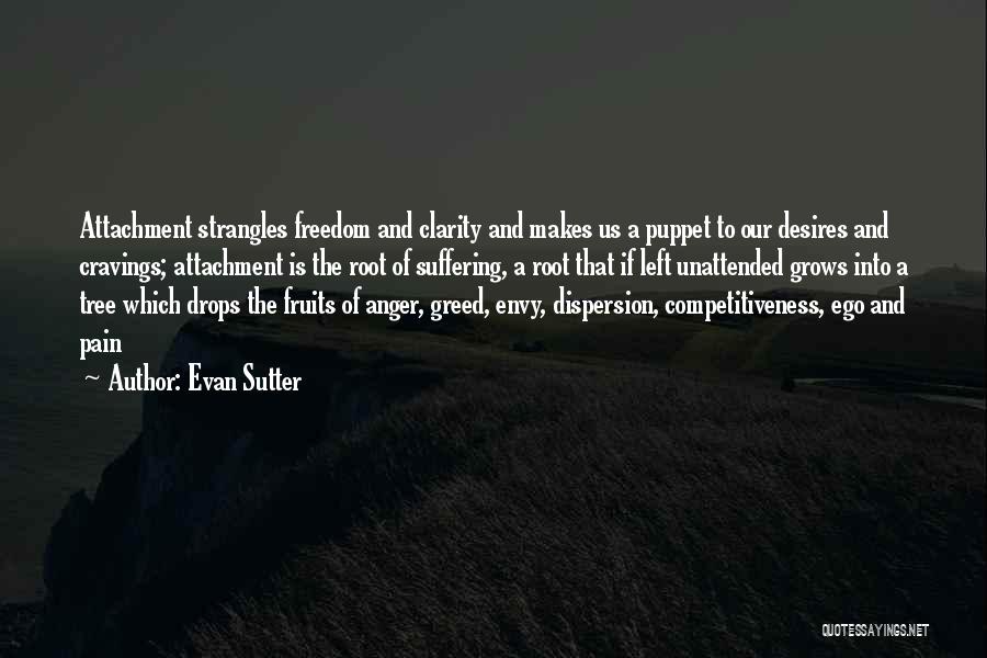 Life Philosophy Suffering Quotes By Evan Sutter