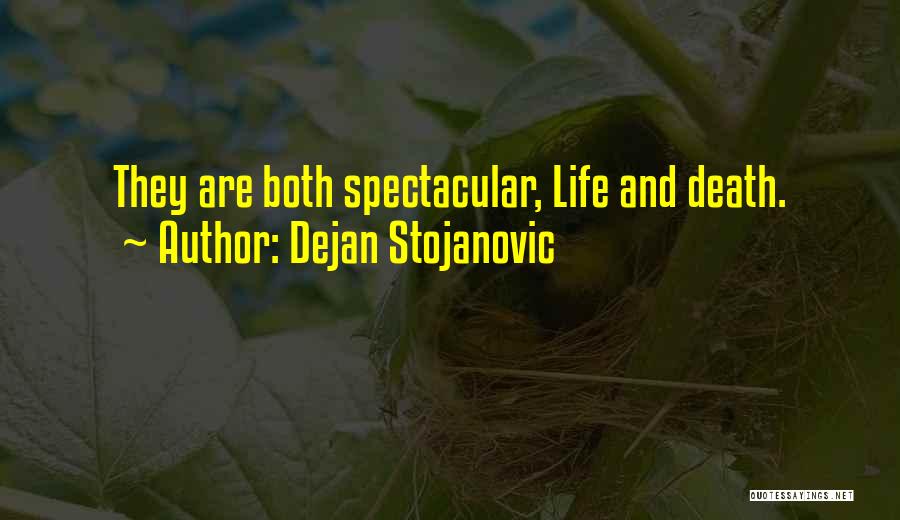 Life Poems Quotes By Dejan Stojanovic