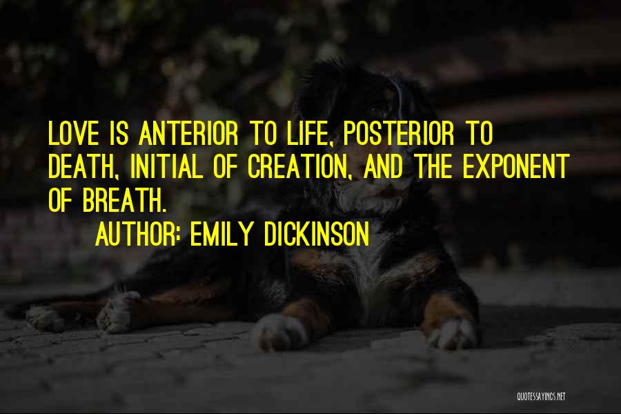 Life Poems Quotes By Emily Dickinson
