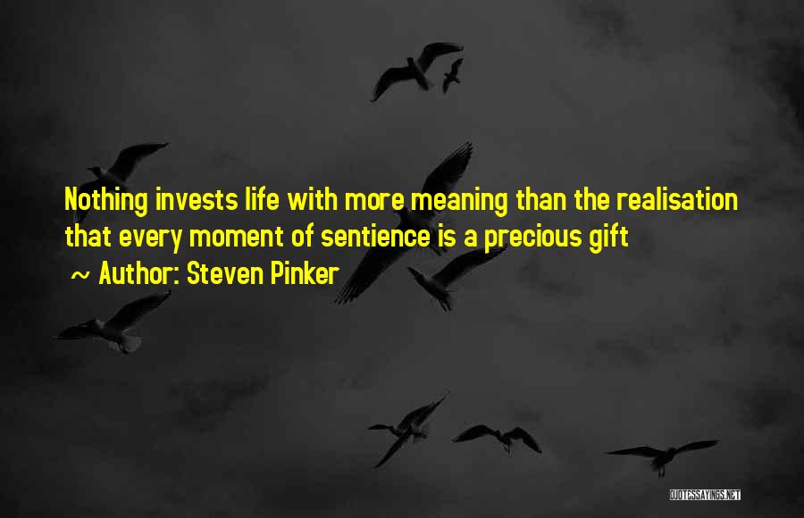 Life Precious Moments Quotes By Steven Pinker