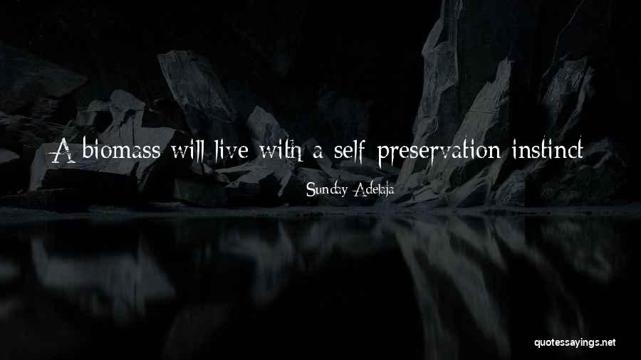 Life Preservation Quotes By Sunday Adelaja Life Preservation Quotes By Sunday Adelaja
