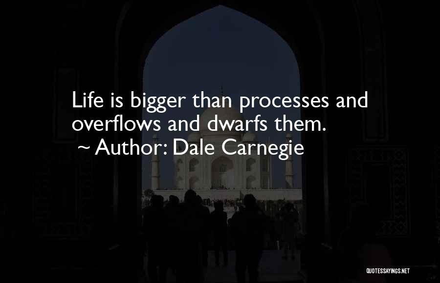 Life Processes Quotes By Dale Carnegie