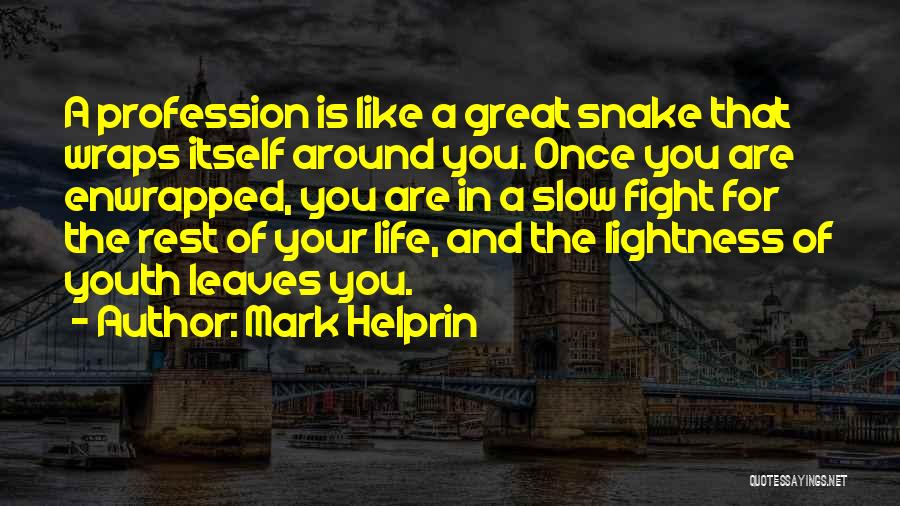 Life Profession Quotes By Mark Helprin