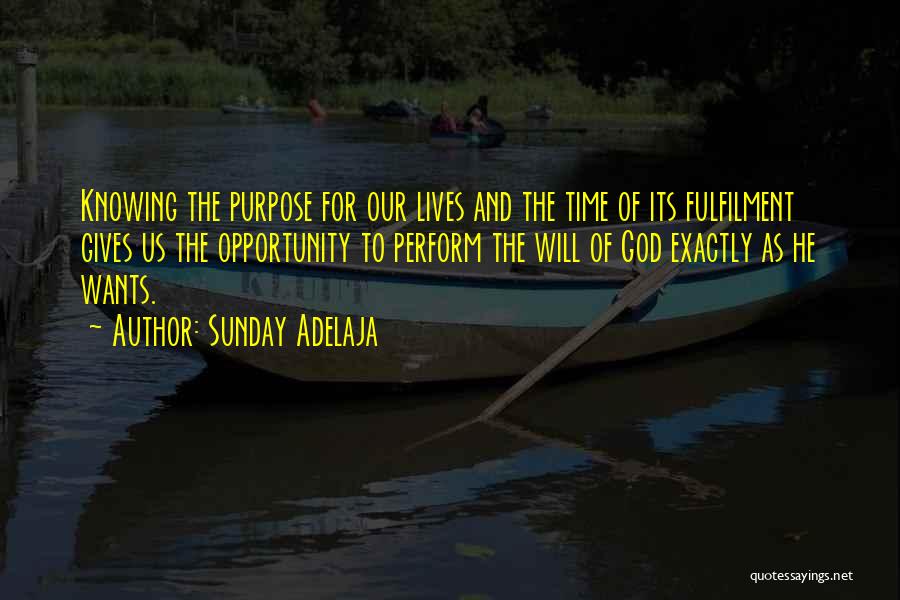 Life Purpose God Quotes By Sunday Adelaja