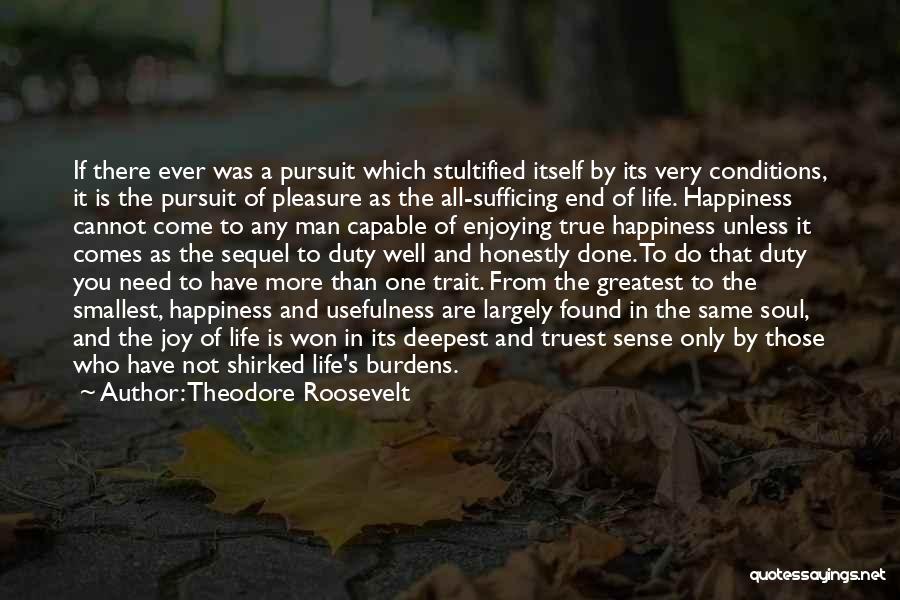 Life Pursuit Of Happiness Quotes By Theodore Roosevelt