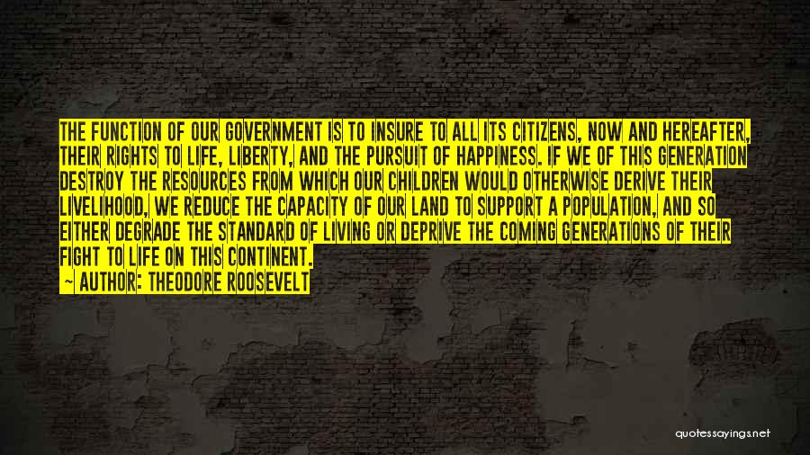 Life Pursuit Of Happiness Quotes By Theodore Roosevelt