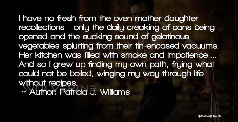 Life Recipes Quotes By Patricia J. Williams