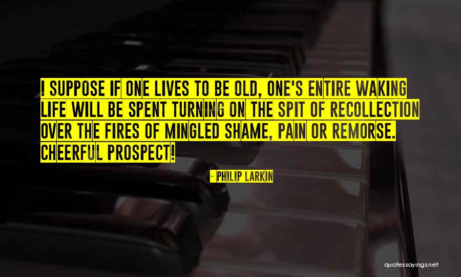 Life Recollection Quotes By Philip Larkin Life Recollection Quotes By Philip Larkin