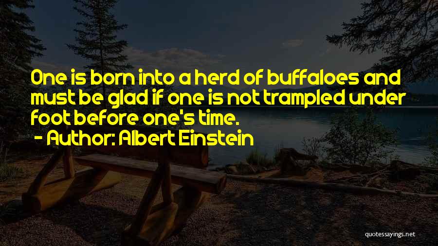 Life Relationship Quotes By Albert Einstein