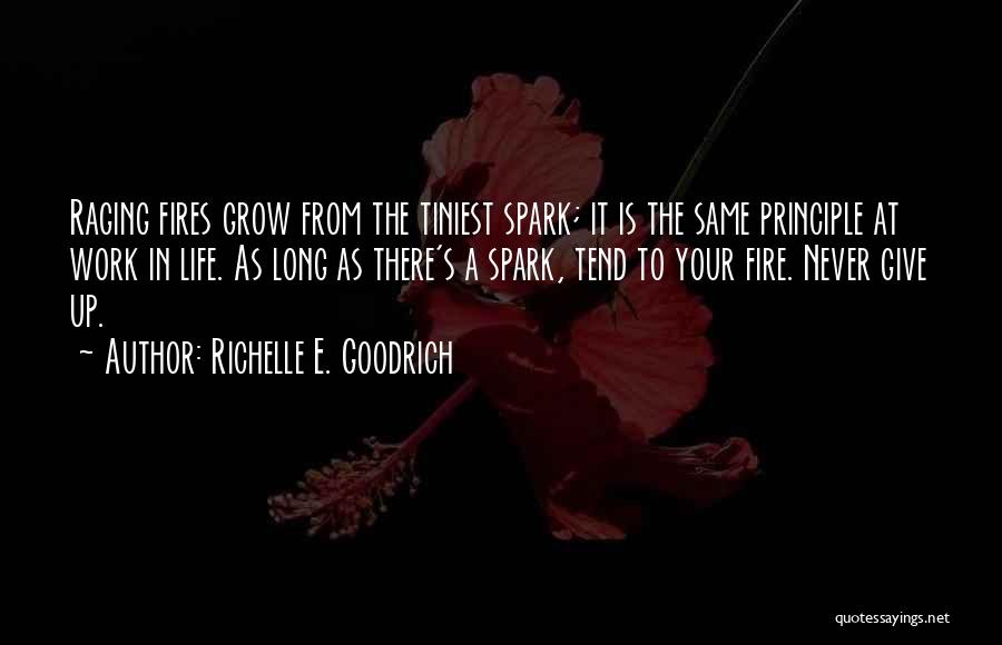 Life Resolutions Quotes By Richelle E. Goodrich