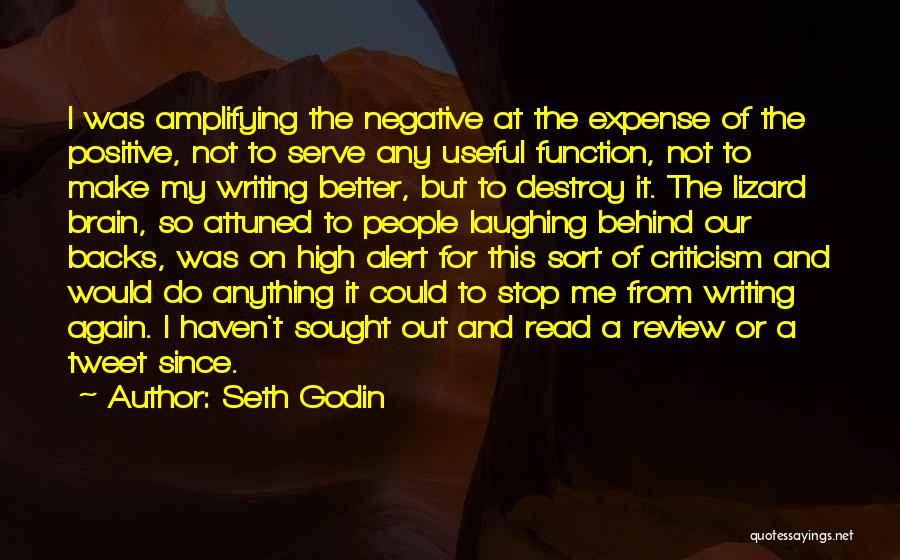 Life Review Quotes By Seth Godin