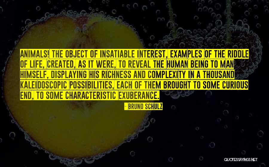 Life Richness Quotes By Bruno Schulz Life Richness Quotes By Bruno Schulz