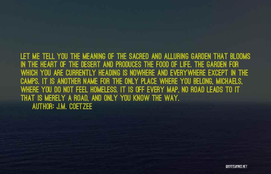 Life Road Map Quotes By J.M. Coetzee