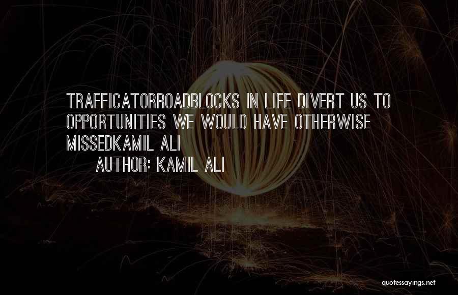 Life Roadblock Quotes By Kamil Ali
